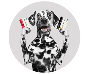 Credit Cards