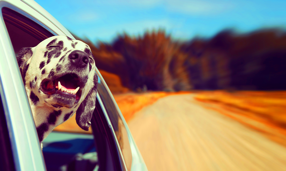 Why You Should Consider Refinancing Your Car Loan