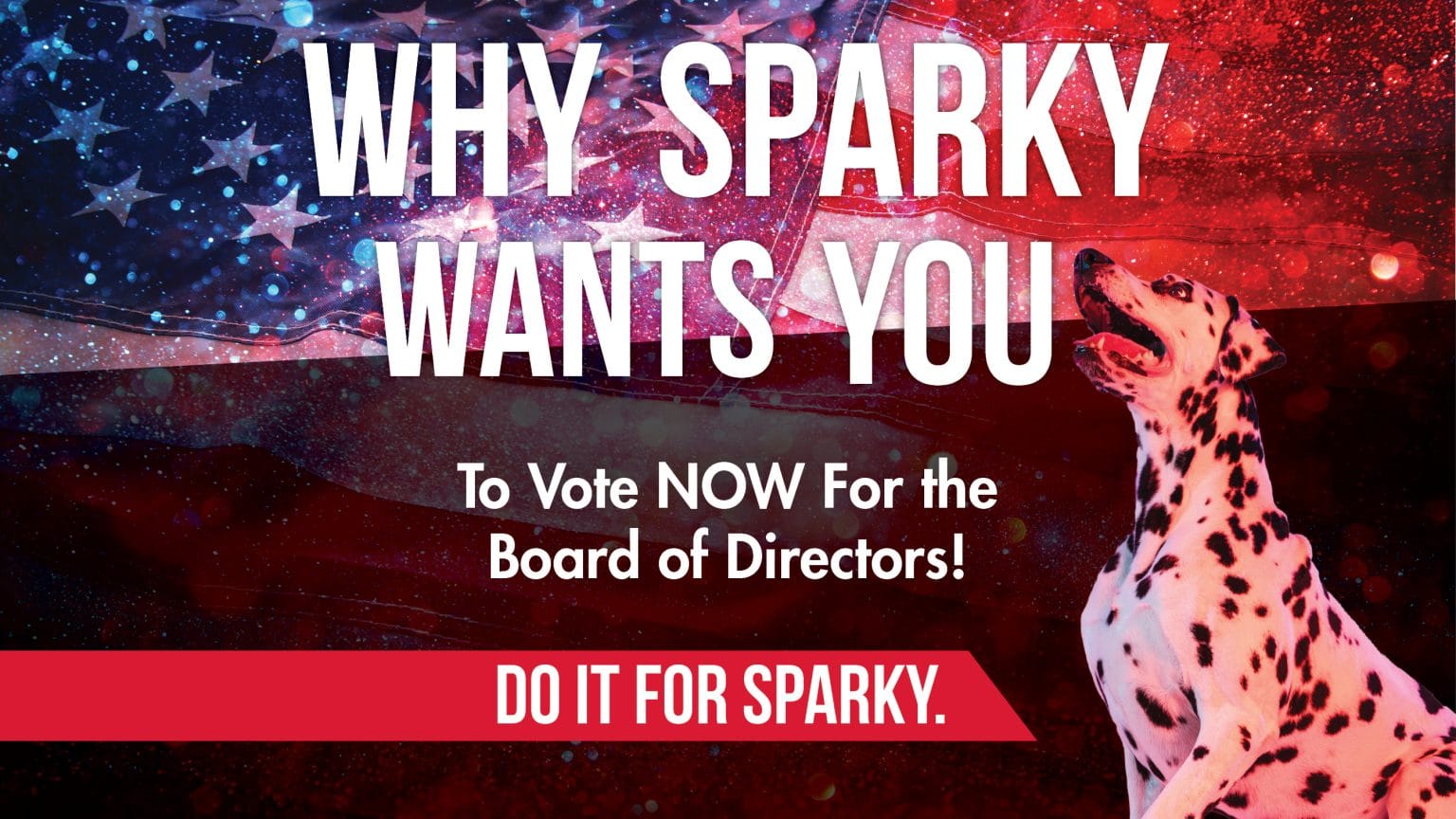 Why should You Vote in FFCCU’s Board of Directors Election? FFCCU