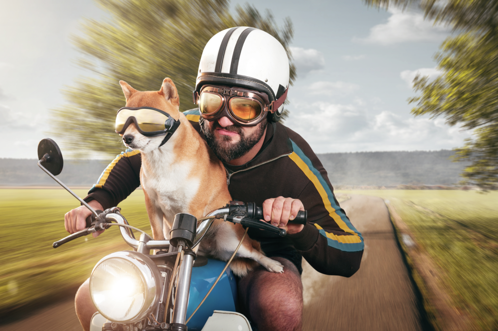 A man and his dog after a successful motorcycle shopping adventure using the FFCCU motorcycle shopping checklist.