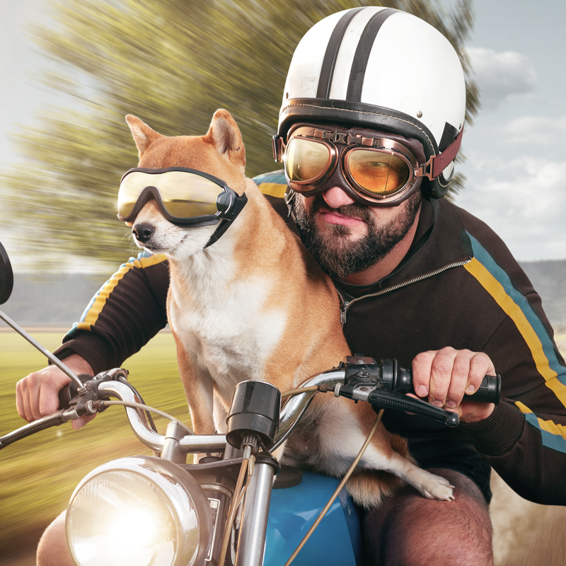 Motorcycle Shopping Checklist: Ride Confidently into Your First Purchase