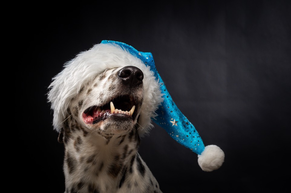 Your Paycheck-to-Paycheck Holiday Survival Guide