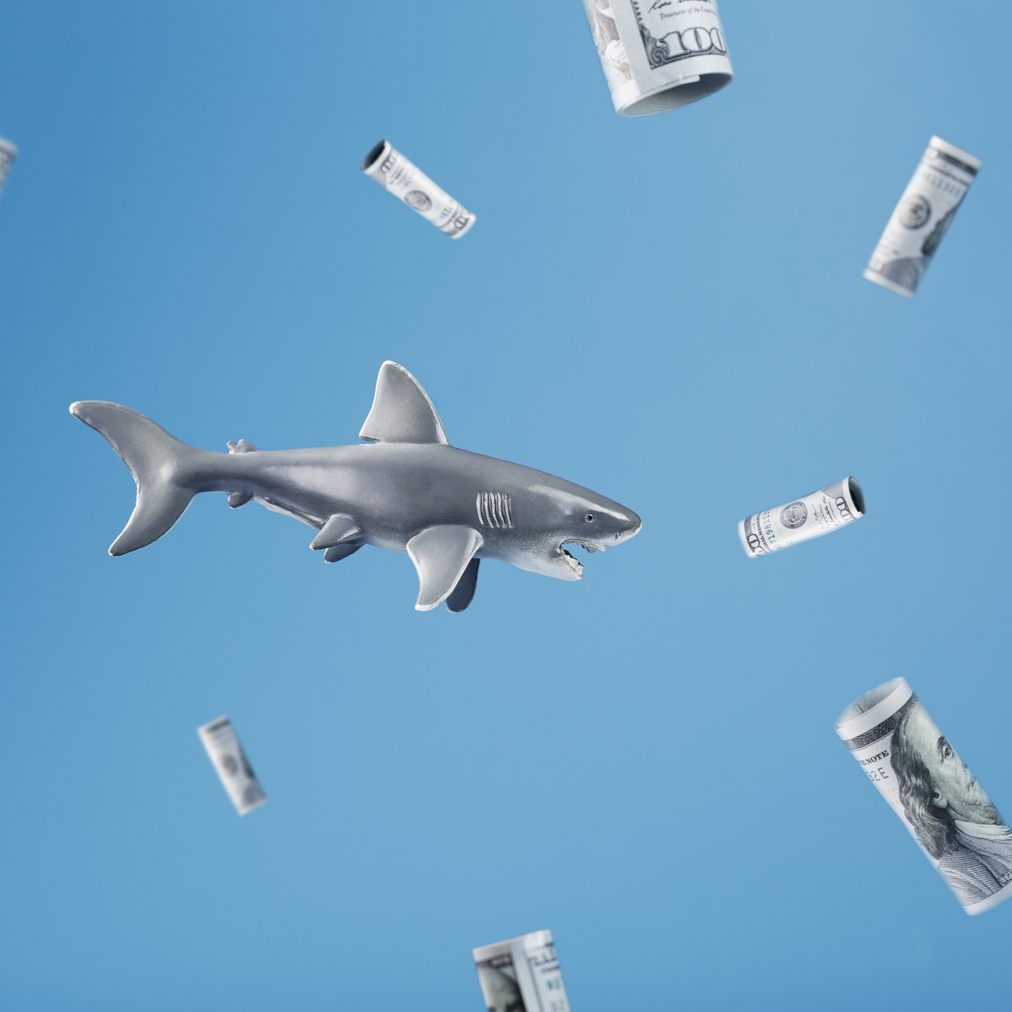 Predatory payday loans as represented by a shark swimming amongst money